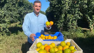 Tescilli Finike Portakalında Üreticinin Yüzü Güldü